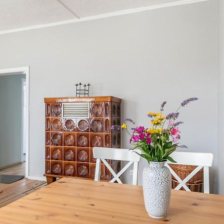 Ferienwohnung Mit Grossem Garten Klosterheide Zewnętrze zdjęcie